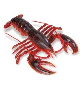 Homard