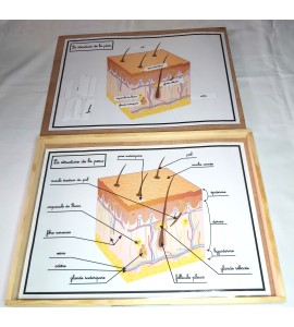 copy of plateau système solaire